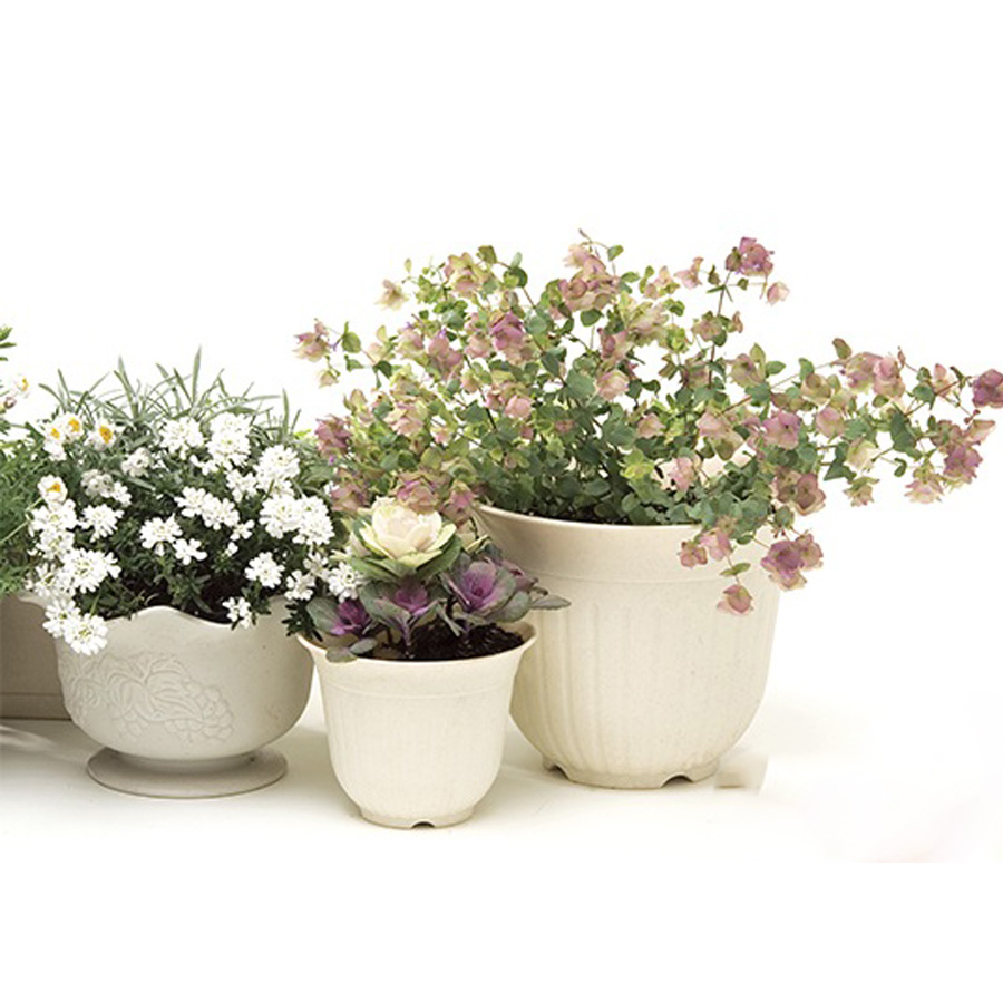 Chậu hoa tròn màu trắng 21cm nội địa Nhật Bản