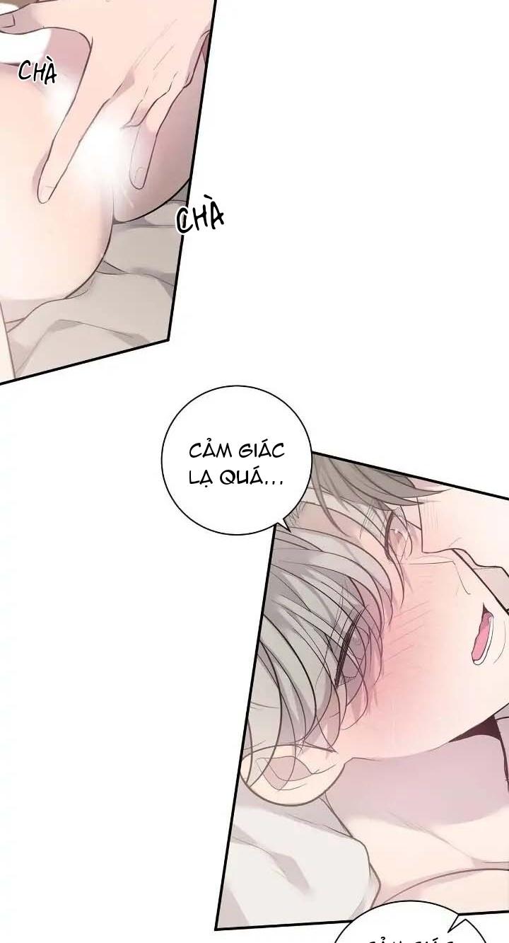 sao notp lại thành thật rồi? chapter 36 20