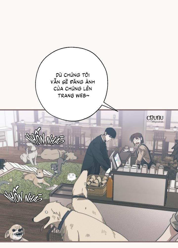 (cbunu) tráo đổi chapter 63 2