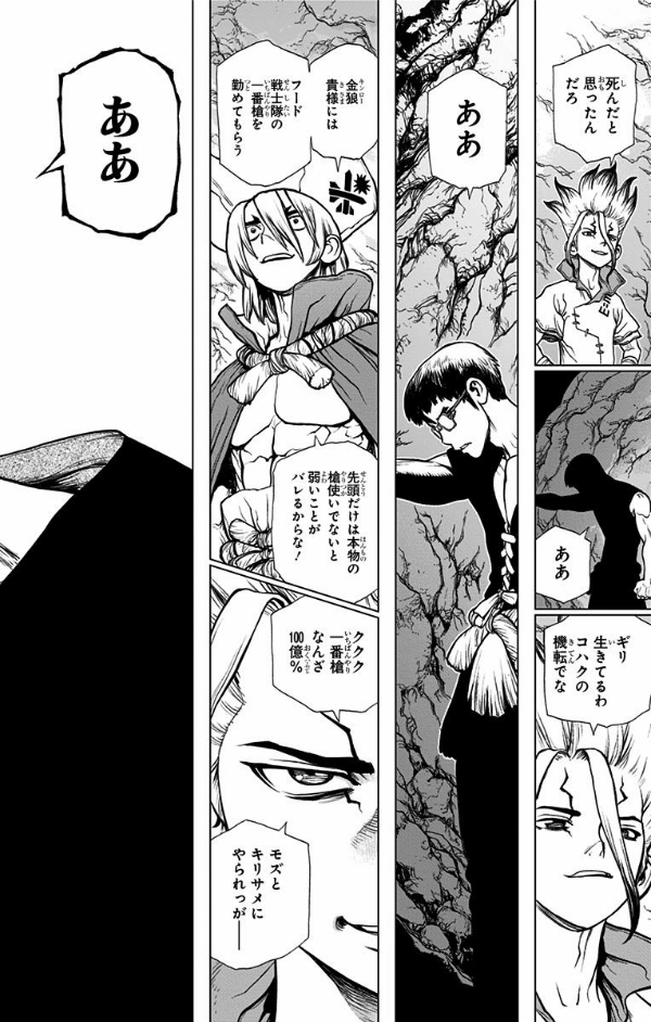 Dr. STONE 15 (ジャンプコミックス)