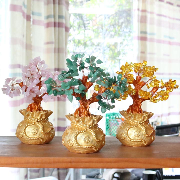 Cây tài lộc - cây đá dáng bonsai chậu hình túi tiền nhỏ màu vàng - đá