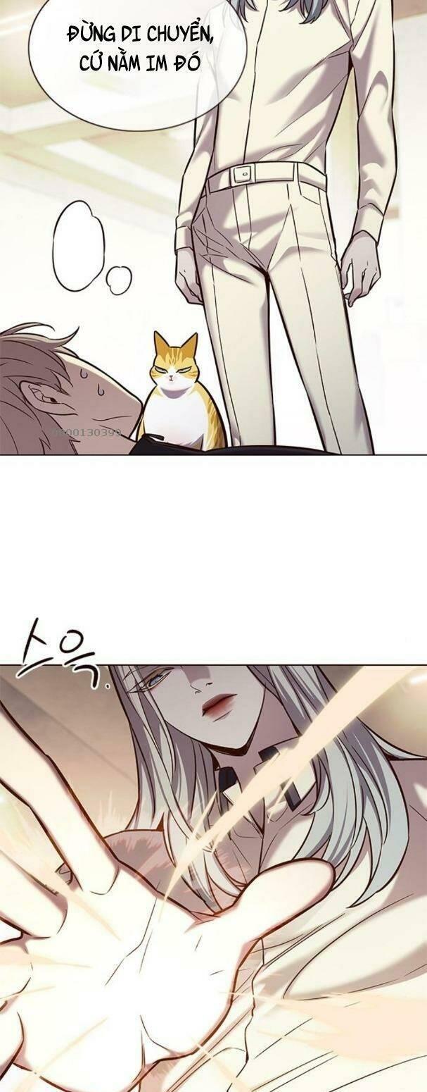 biến thân thành mèo chapter 179 29