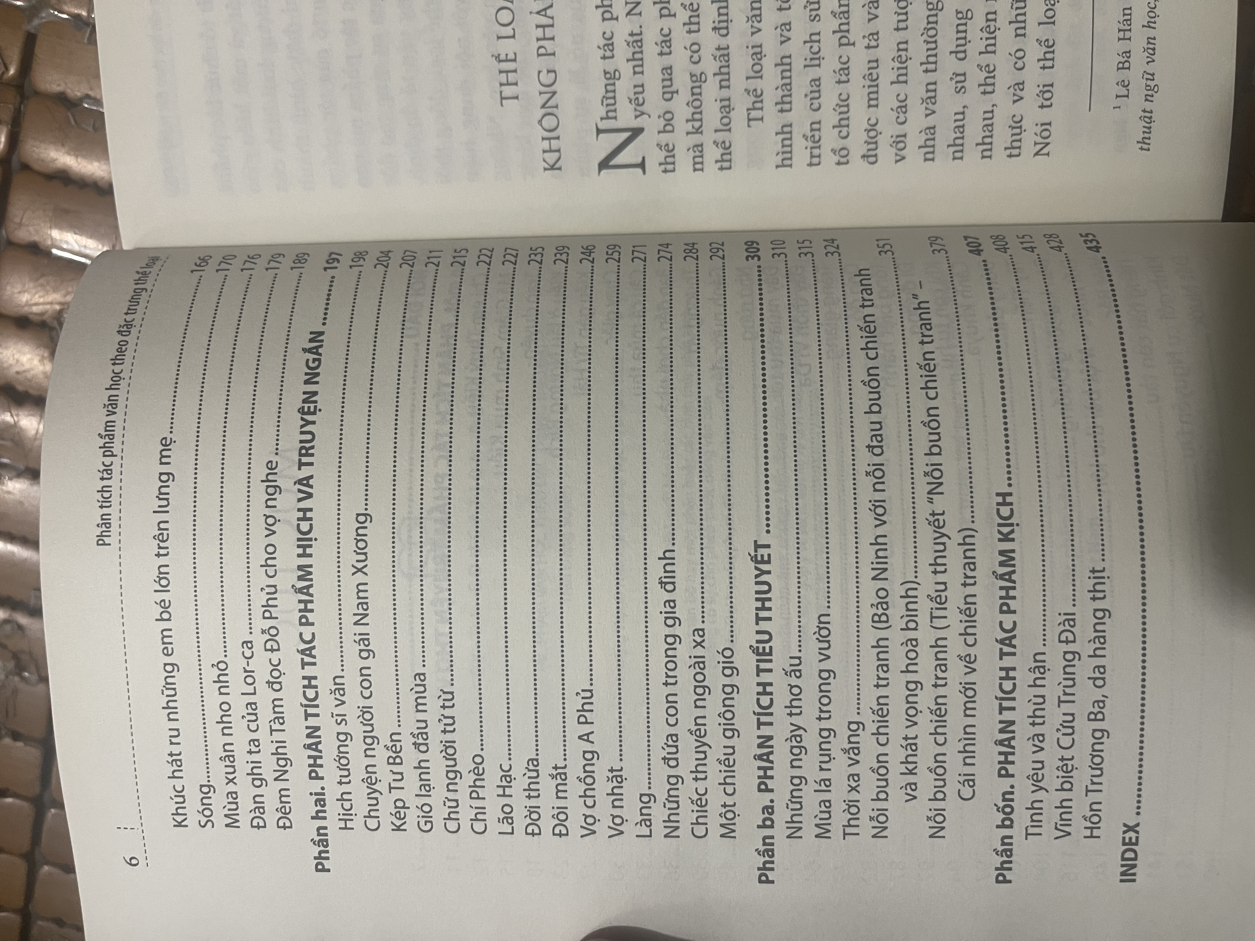 sách phân tích tác phẩm văn học theo đặc trưng thể loại