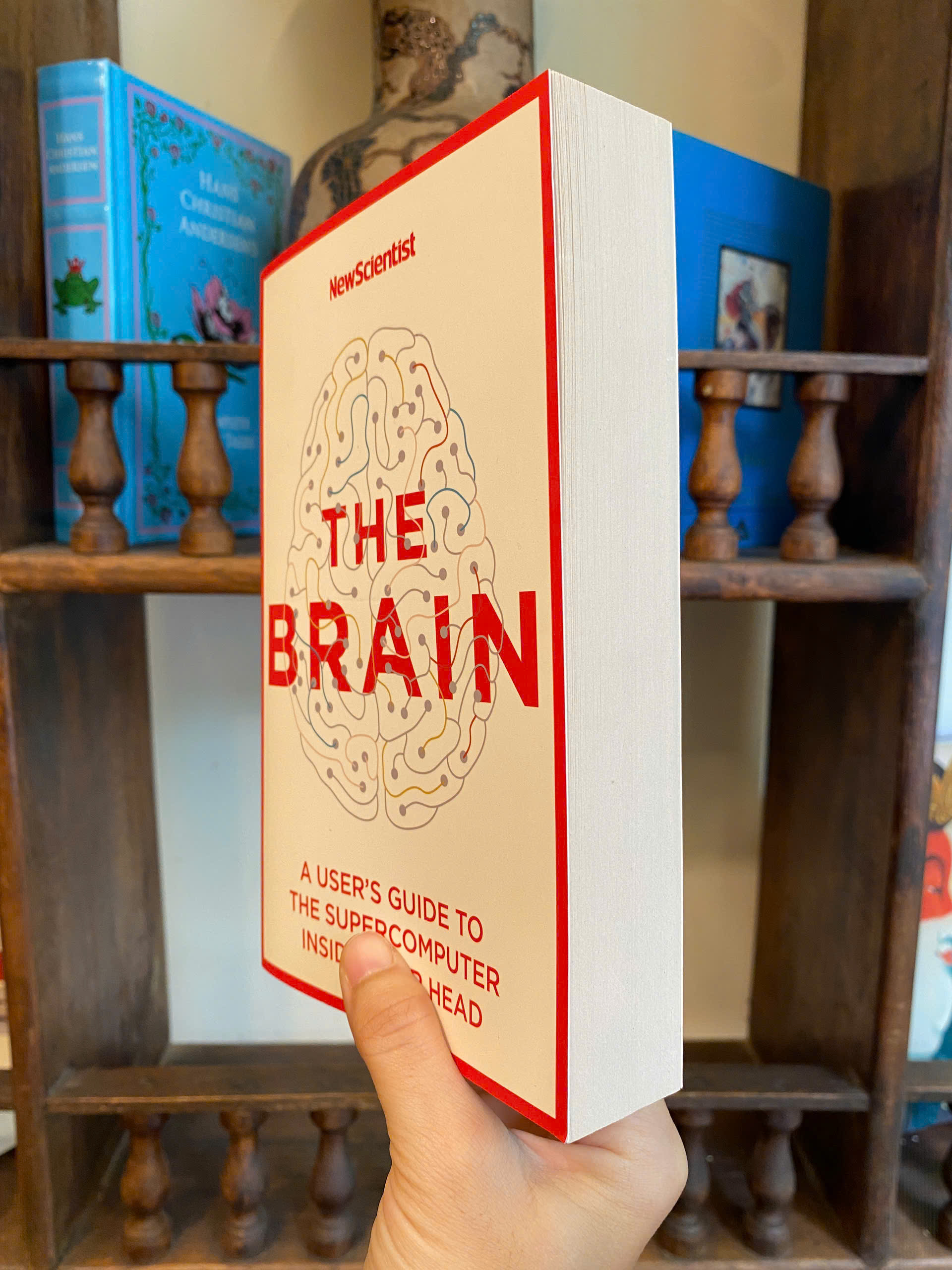 Sách - The Brain: A User's Guide to the Supercomputer Inside Your Head - New Scientist / Ngoại văn