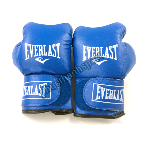 Găng đấm boxing Everlast 12oz
