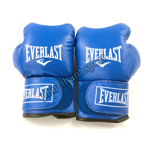 Găng đấm boxing Everlast 12oz 