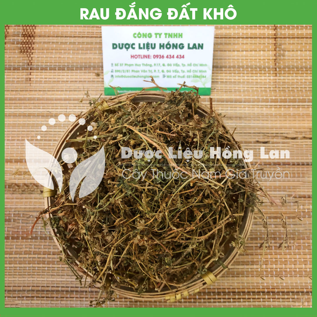 Cây Rau Đắng Đất khô sạch đóng gói 500gram