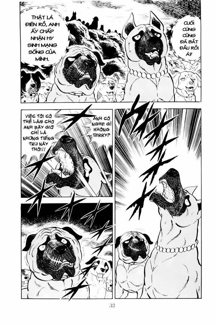 chú chó có nghĩa - ginga nagareboshi gin chapter 31 33