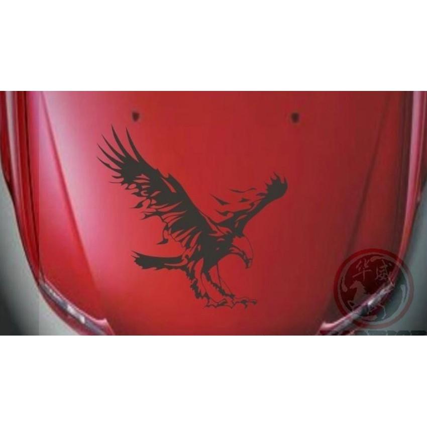 Decal Hình Đại Bàng Dán Xe