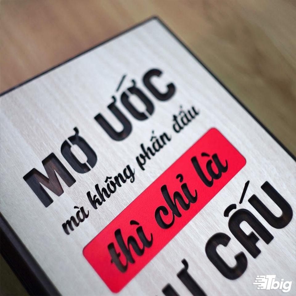 Tranh động lực TBIG116: Mơ ước mà không phấn đấu thì chỉ là hư cấu 20x27cm