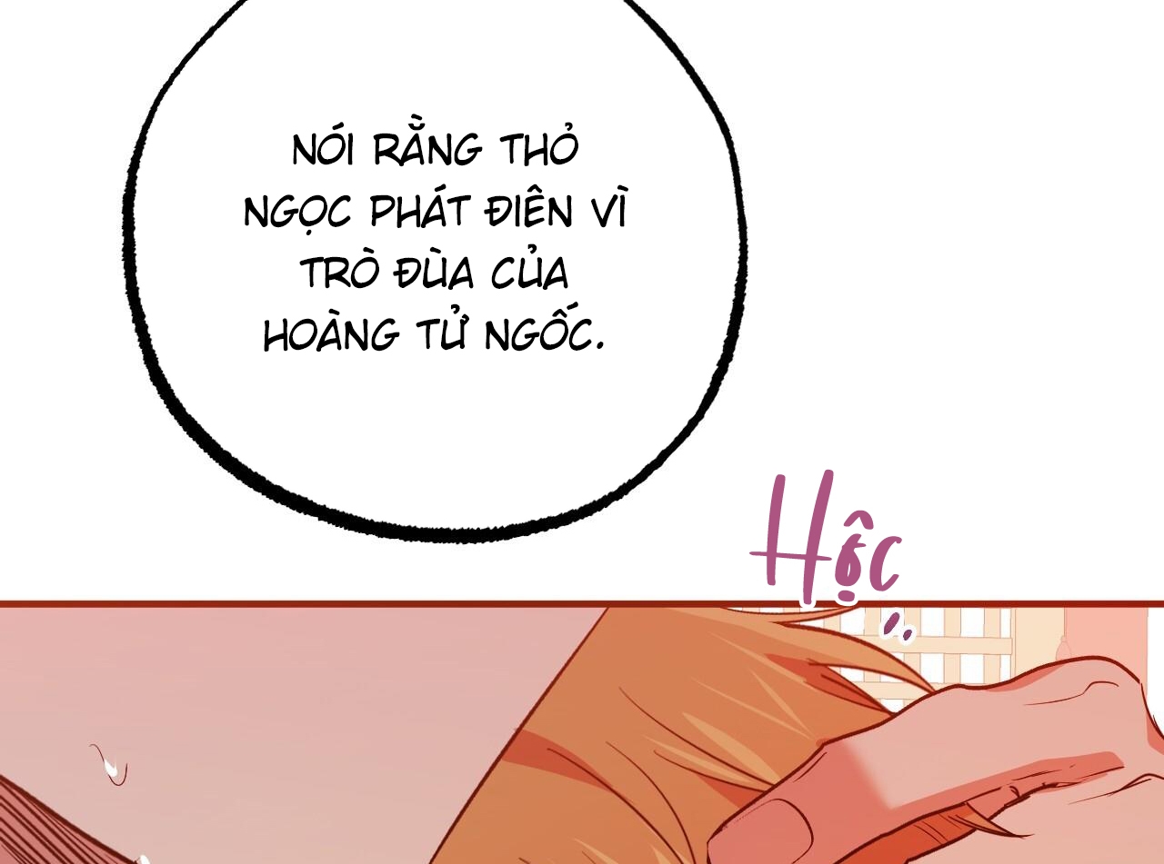 đàn thỏ của habibi chapter 63 231