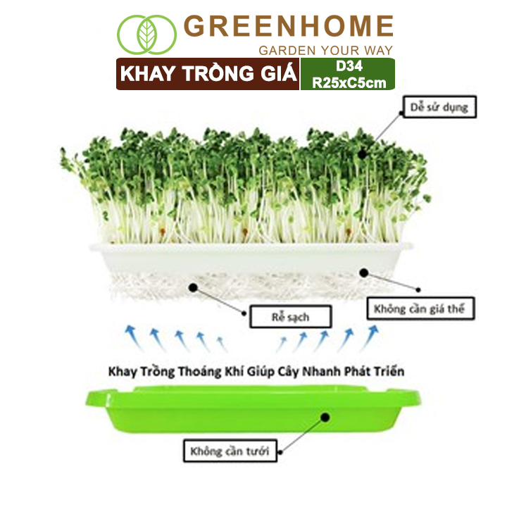 Bộ khay trồng giá, rau mầm, Greenhome, D34xR25xC5cm, nhựa nguyên sinh, an toàn, dễ trồng tại nhà, nhiều màu lựa chọn