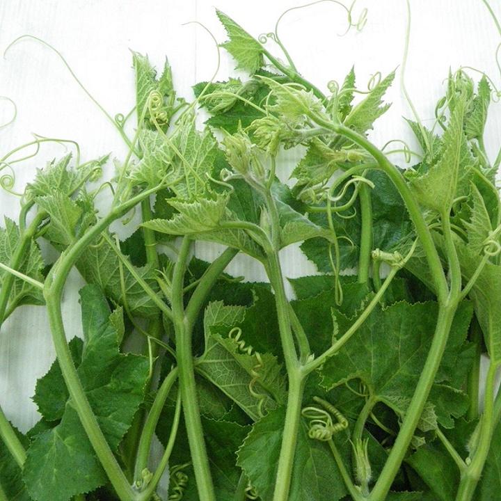 20g Hạt giống Bí Đỏ siêu ngọn, bí siêu đọt
