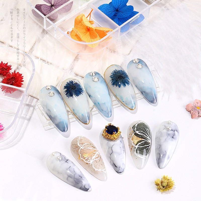 Hoa Khô Nail Dán Móng Tay, Set 12 Màu, Cánh Hoa To Và Mỏng Đắp Ẩn Theo Phong Cách Hàn Nhật