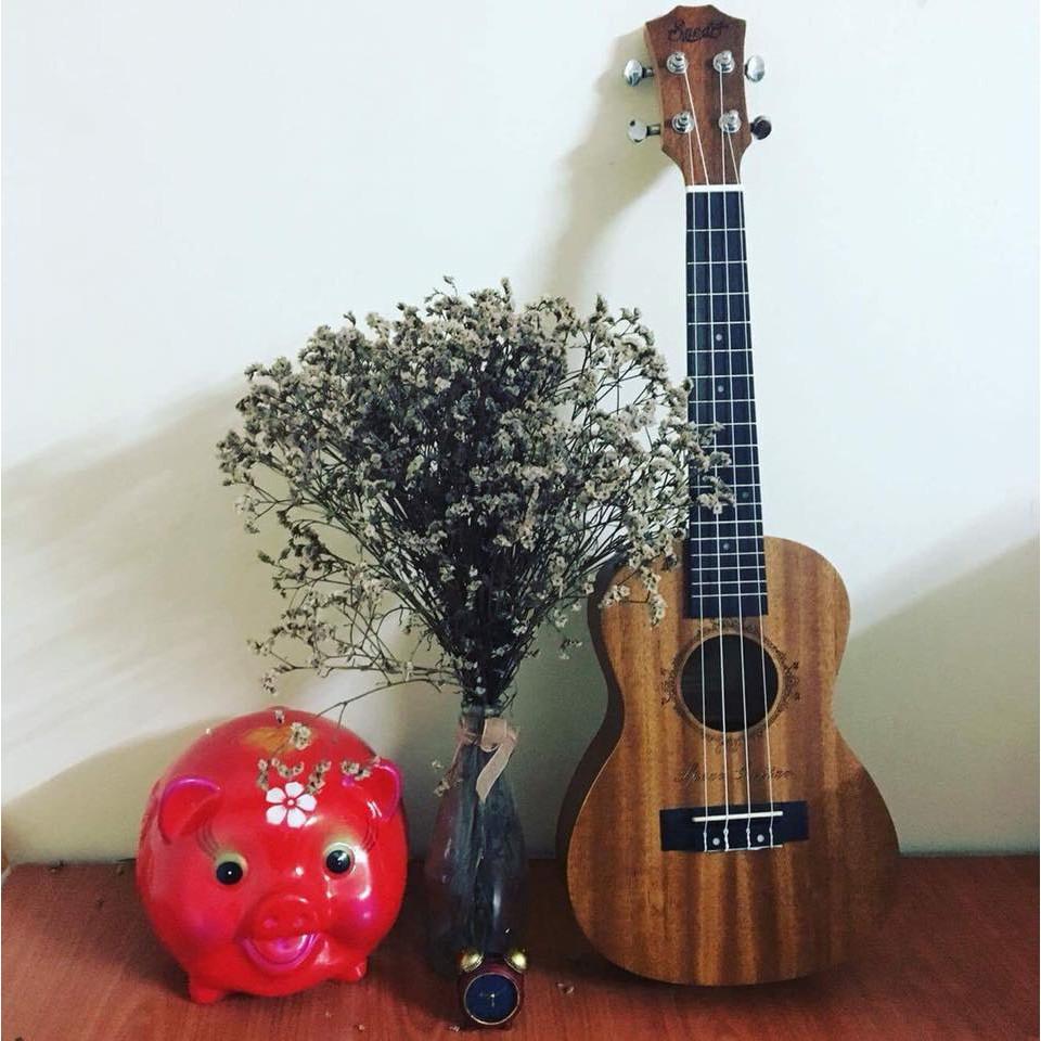 UKULELE CONCERT GIÁ RẺ