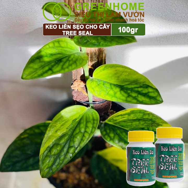 Keo Liền Sẹo Cho Cây Greenhome, Tree Seal, Chai 100gr, Liền Nhanh Vết Cắt Da Cây, Chiết Cành