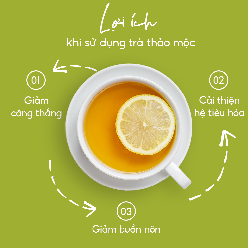 Trà Thảo Mộc Cúc Hoa - Bảo Long - Hàng Chính Hãng
