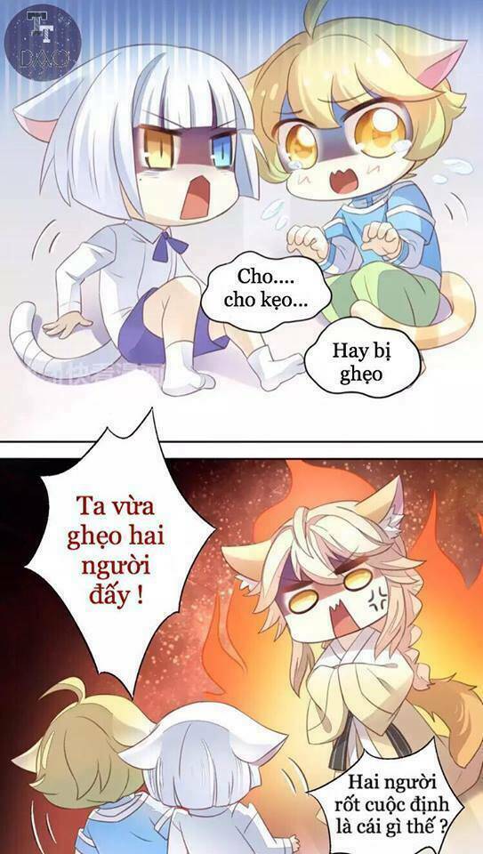 dưới móng vuốt mèo chapter 18 8