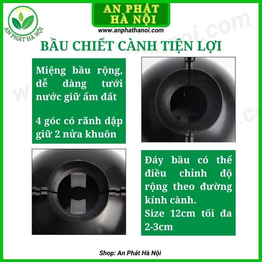 1 hộp Bầu Chiết cành loại đẹp, hộp chiết cây,dụng cụ chiết cành chuyên dụng, hộp ươm cắt ghép chiết cành
