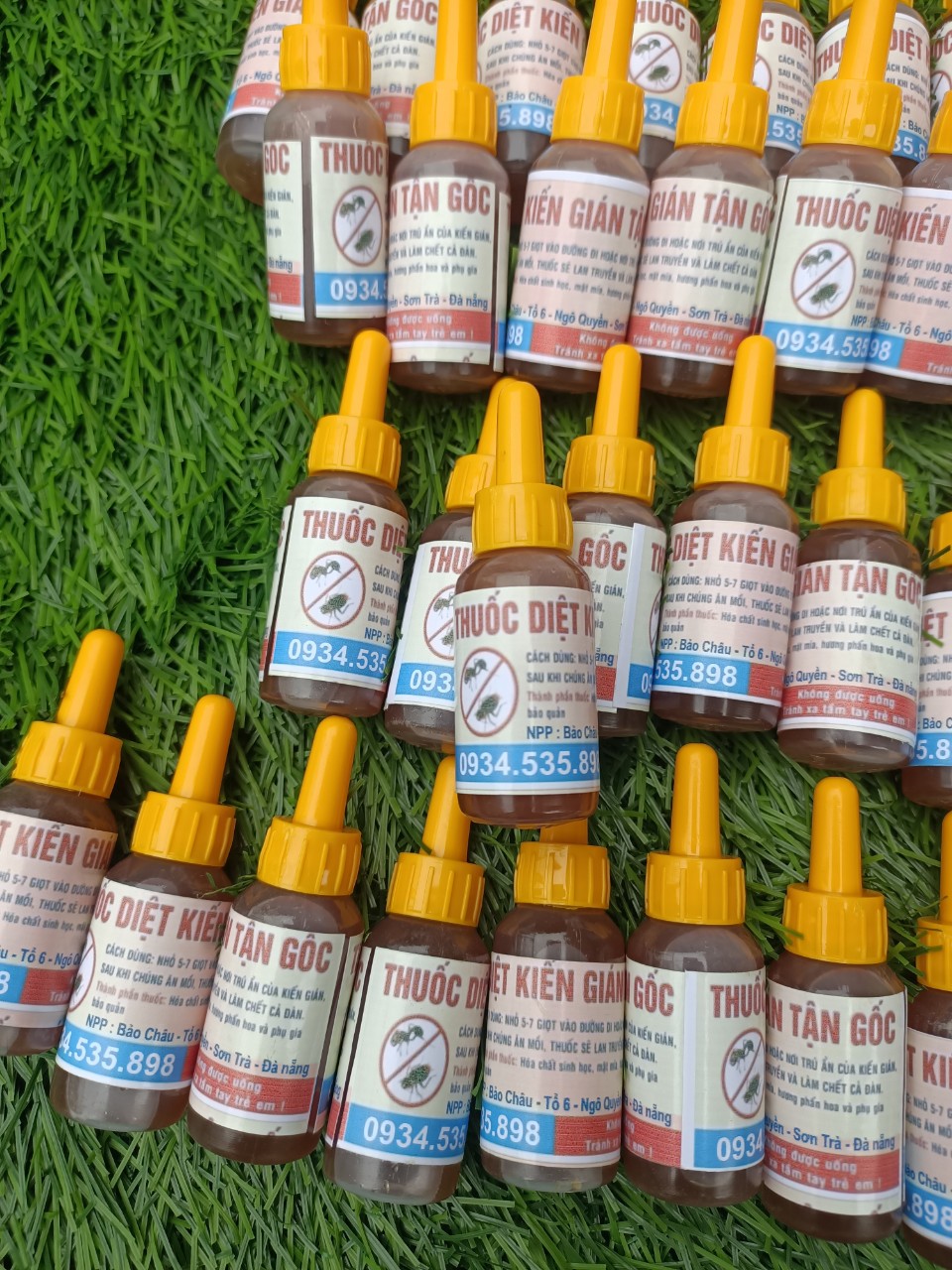 Thuốc diệt kiến gián sinh học tận gốc