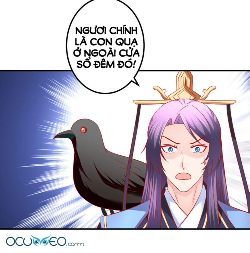 từ đây vương gia không thượng triều sớm chapter 70 17