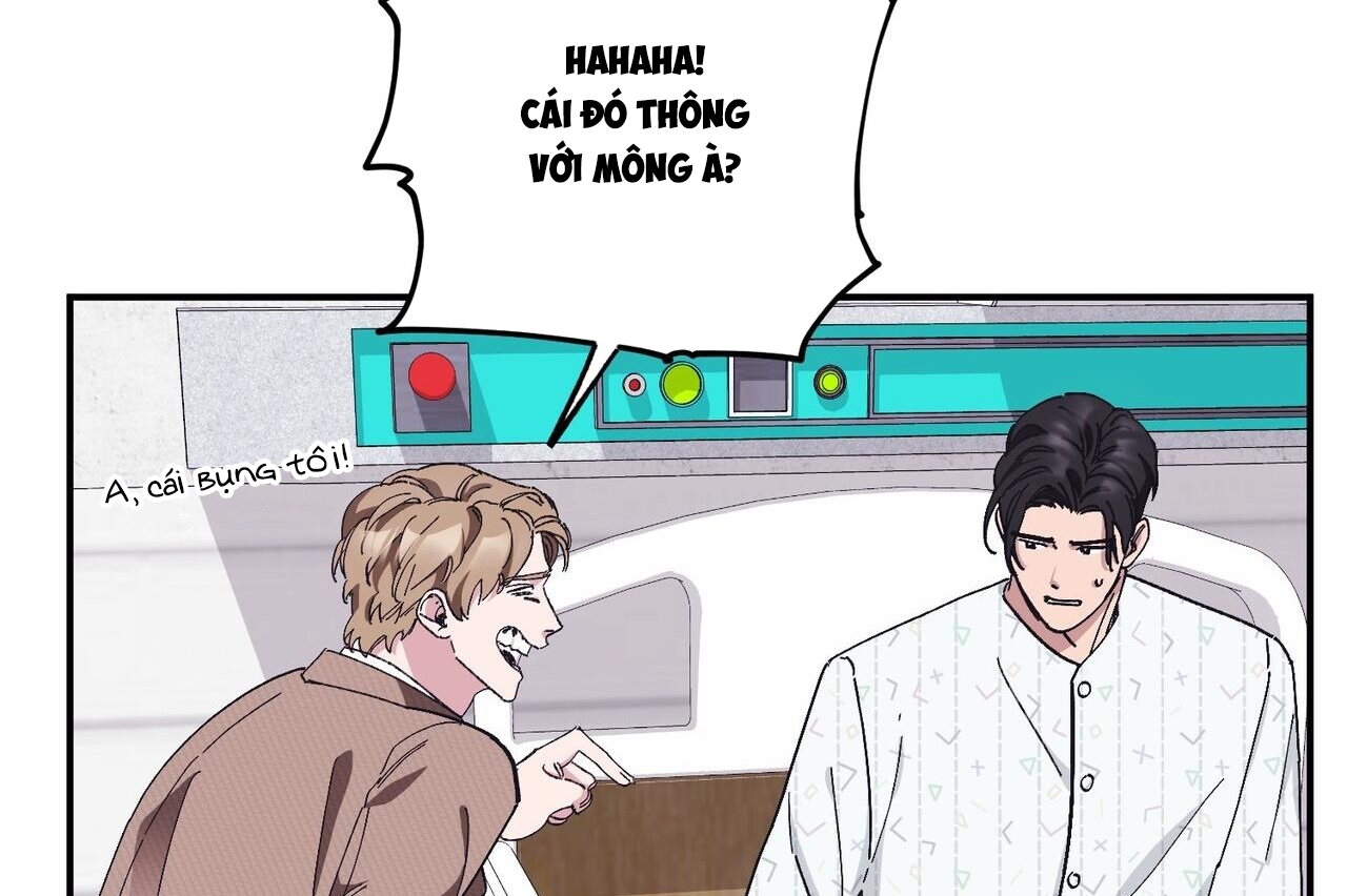 chàng dâu nhà họ kang chapter 32 43