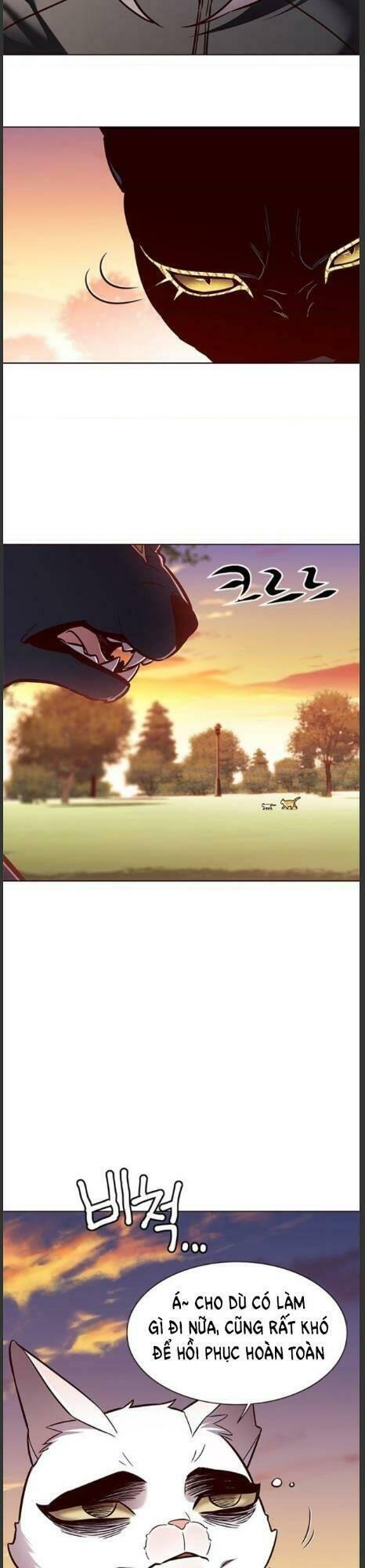 biến thân thành mèo chapter 161 18