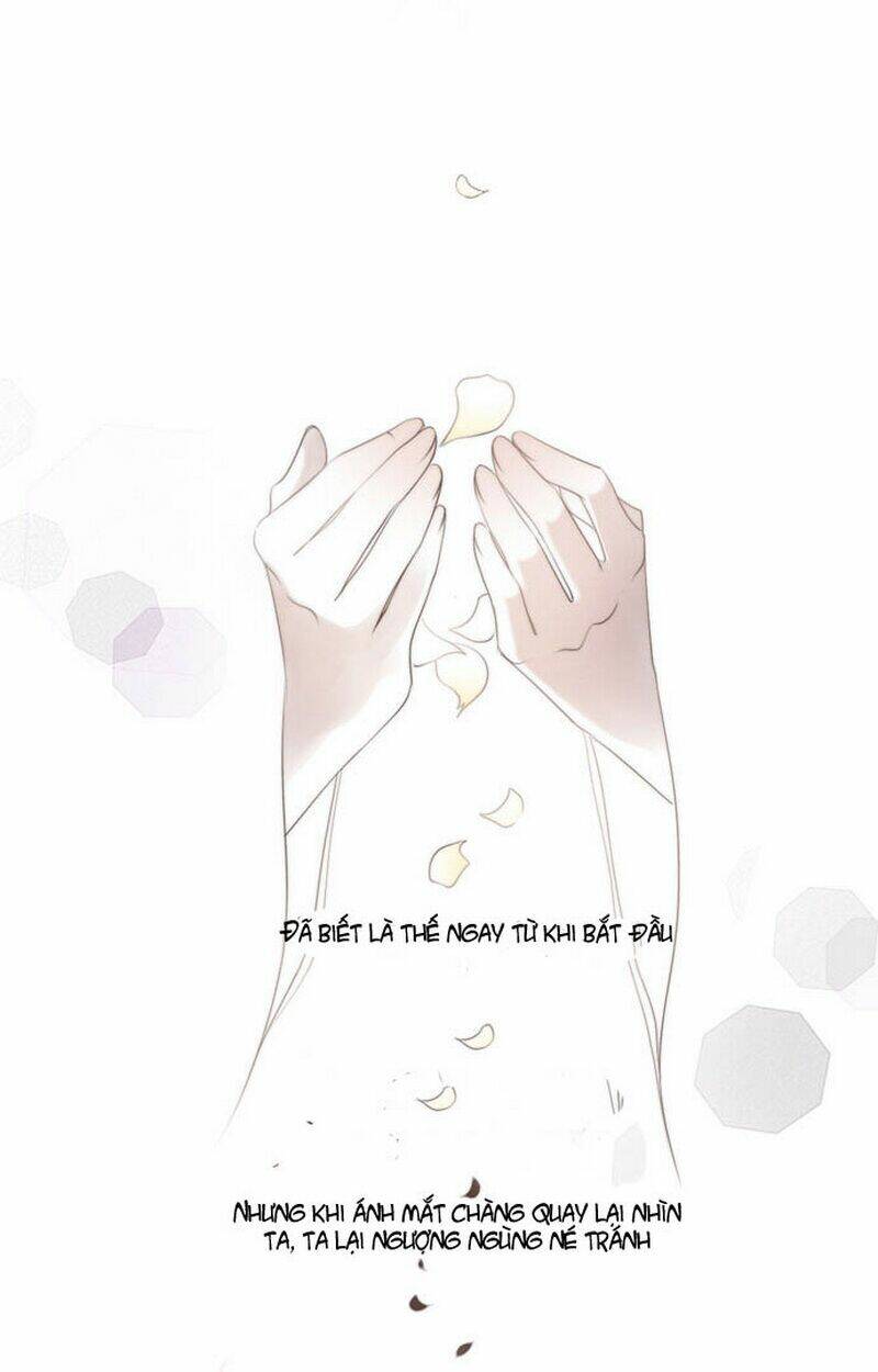 12 nights chapter 0 8