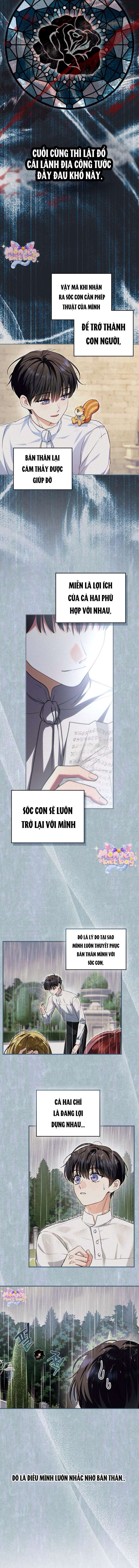 Trở Thành Sóc Nhỏ Của Kẻ Phản Diện chapter 6 4