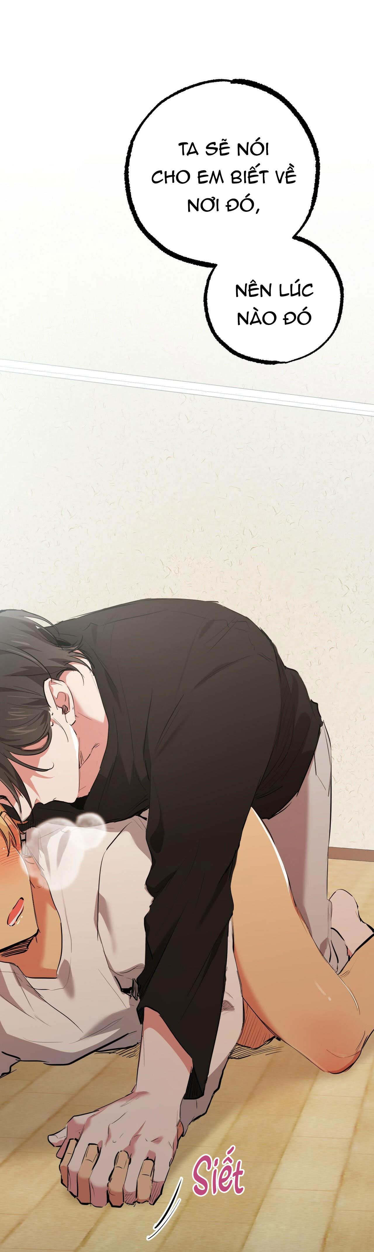 những chú thỏ của hapypy chapter 35 62