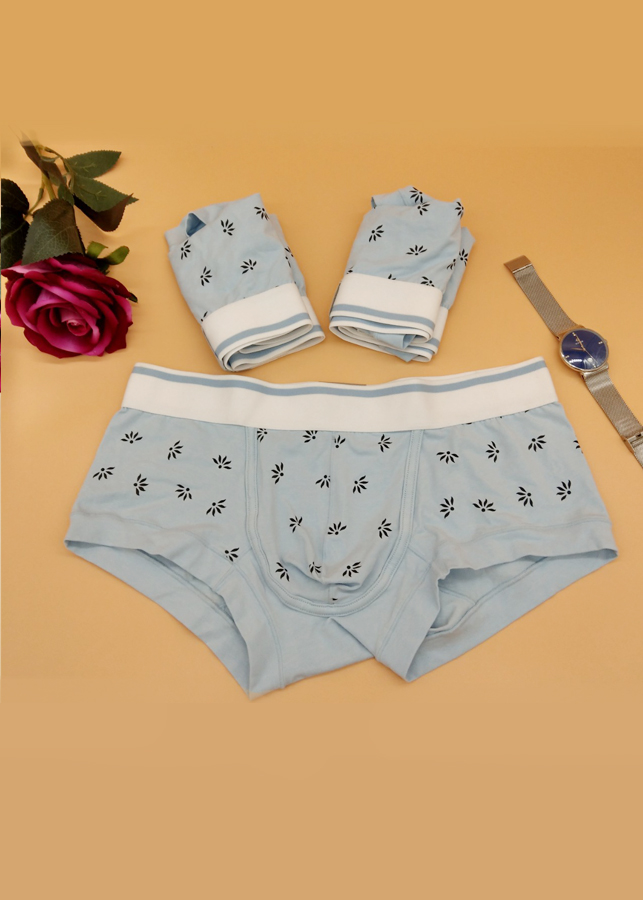 Quần lót Nam Cotton thời trang - L ( 59 - 65kg)