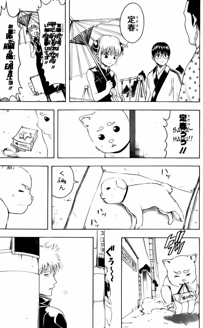gintama - linh hồn bạc chapter 401 22