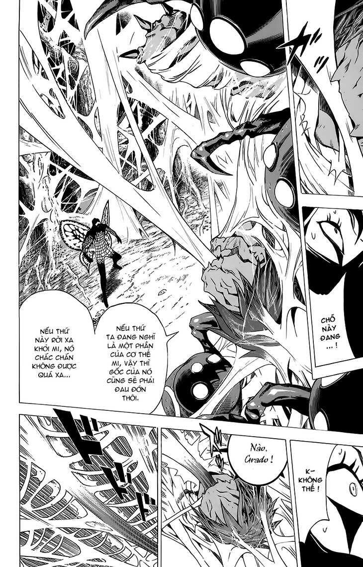 rồng xanh grado chapter 19 14