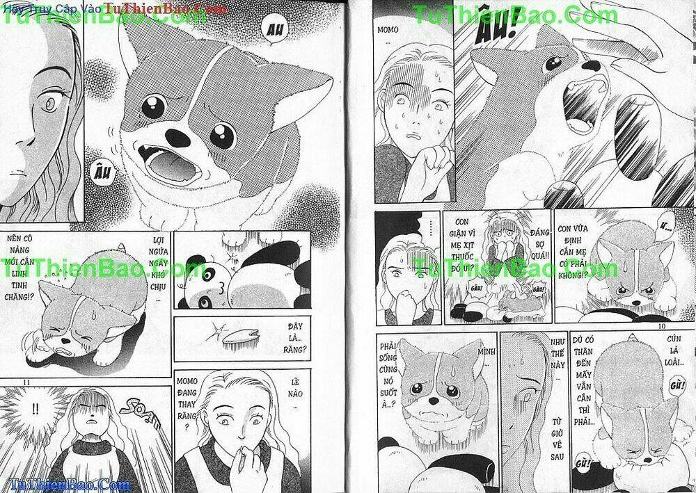 chó con mo mo chapter 2 6