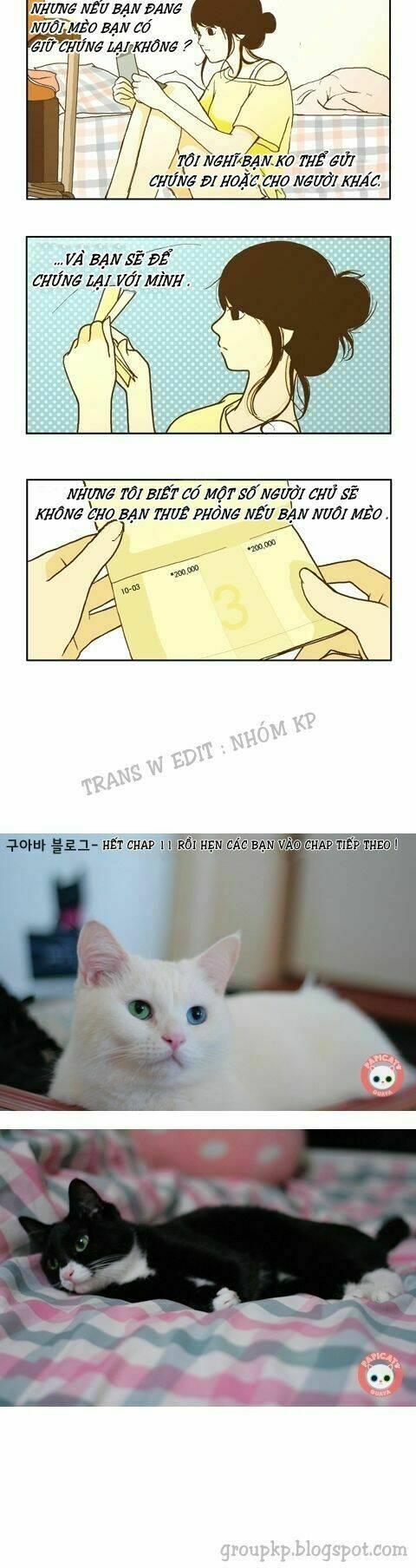 papi nyang chapter 11 9