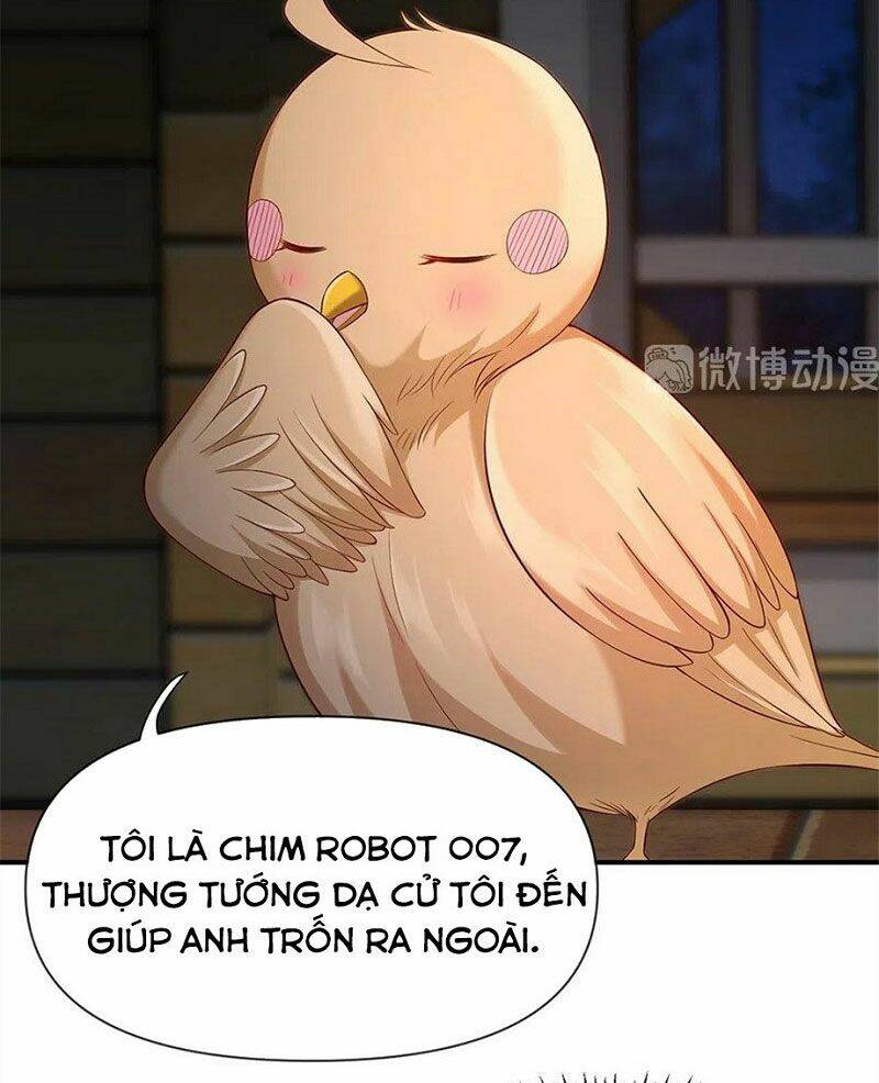 nam thần truy thê chỉ nam chapter 108.1 3