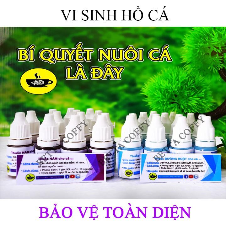 San Hô - Cao Cấp Tăng PH, Lọc Nước, Khử độc