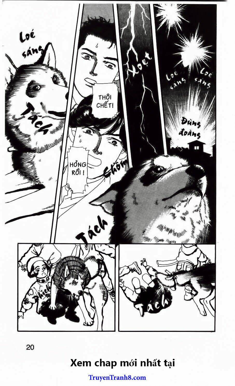 bác sĩ thú y chapter 81 16