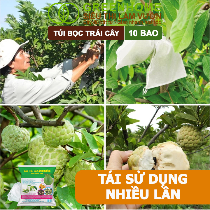 10 Túi Bọc Bưởi Da Xanh Greenhome, 30x35cm, Có Nút Cài, Độ Bền 3-5 Năm, Nhiều Kích thước