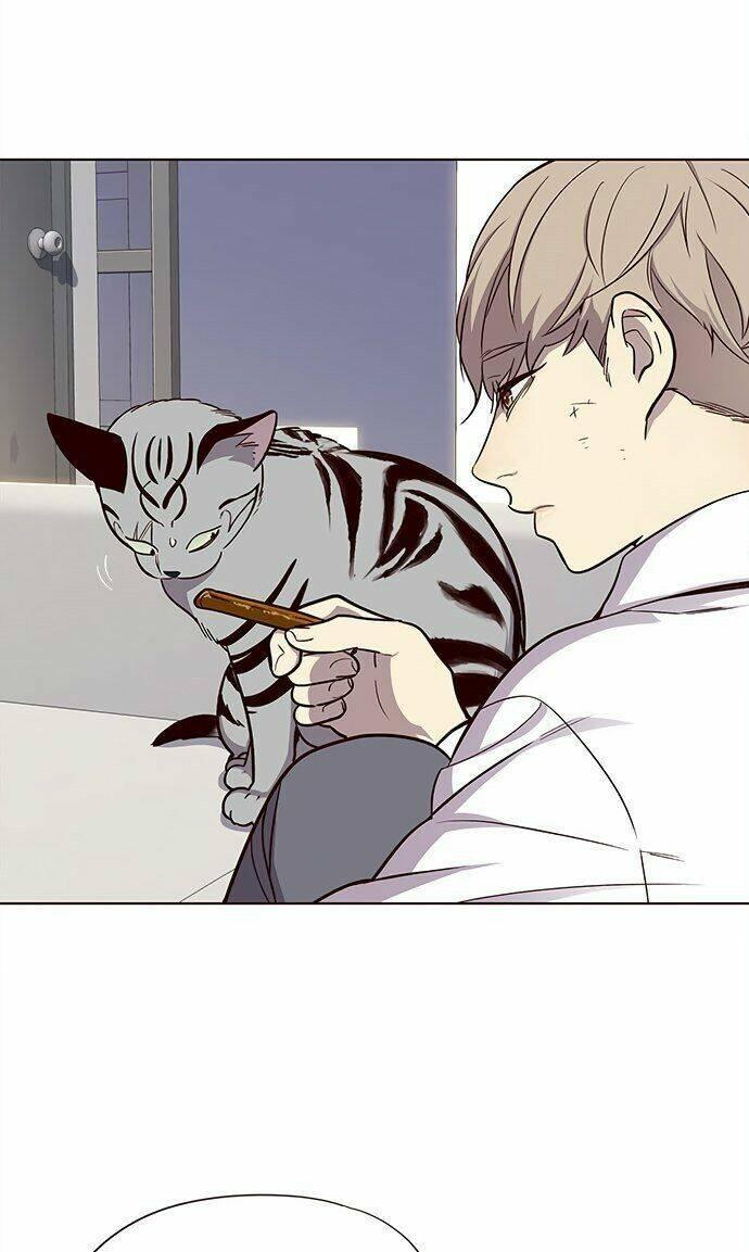 biến thân thành mèo chapter 21 24