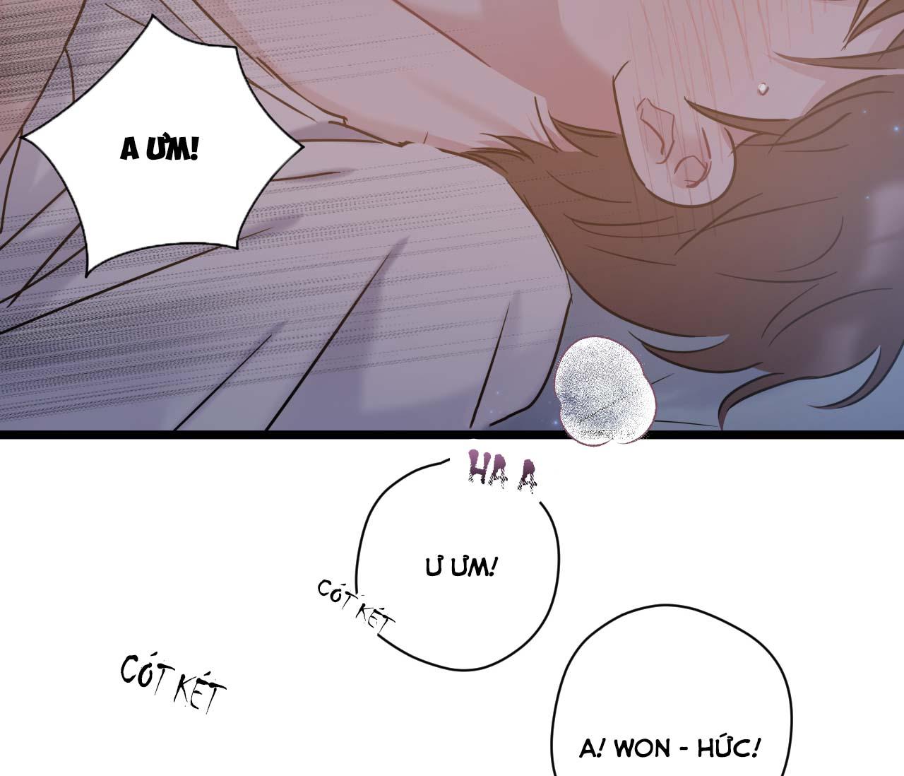 tình yêu bình dị nhất chapter 22 58