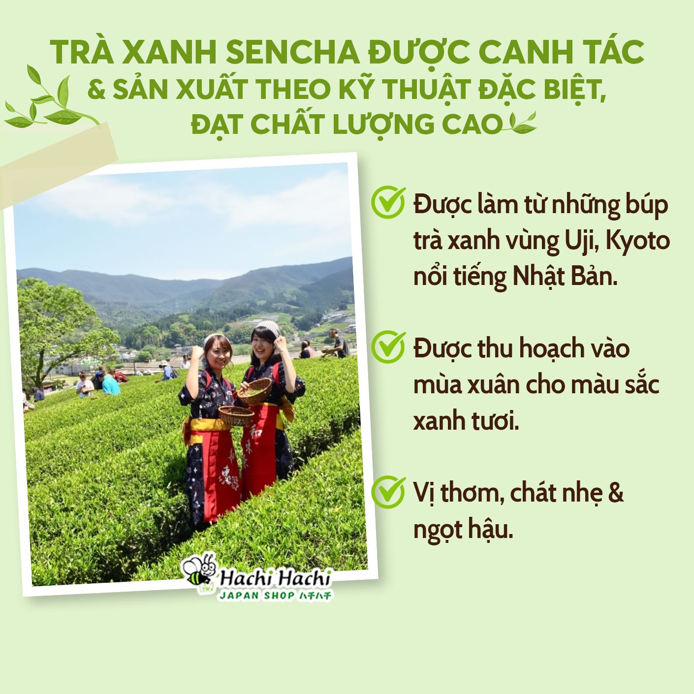 Trà xanh Sencha Yanoen 120g