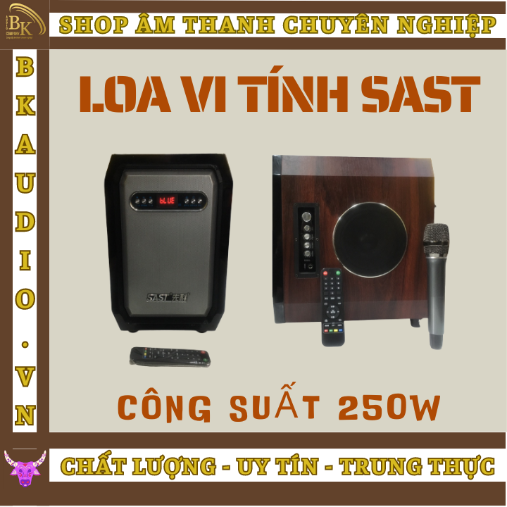 Loa karaoke Bluetooth không dùng bình SAST công suất lớn 250w Loa karaoke Bluetooth - vi tính SAST âm thanh vòm 3D cực đỉnh