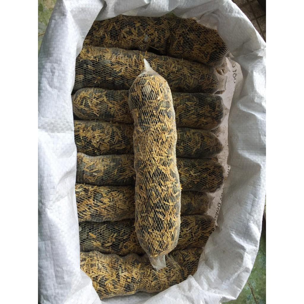 Combo 20 túi 22cm phân dê túi kết hợp phân hữu cơ Bỉ, bổ sung vi lượng