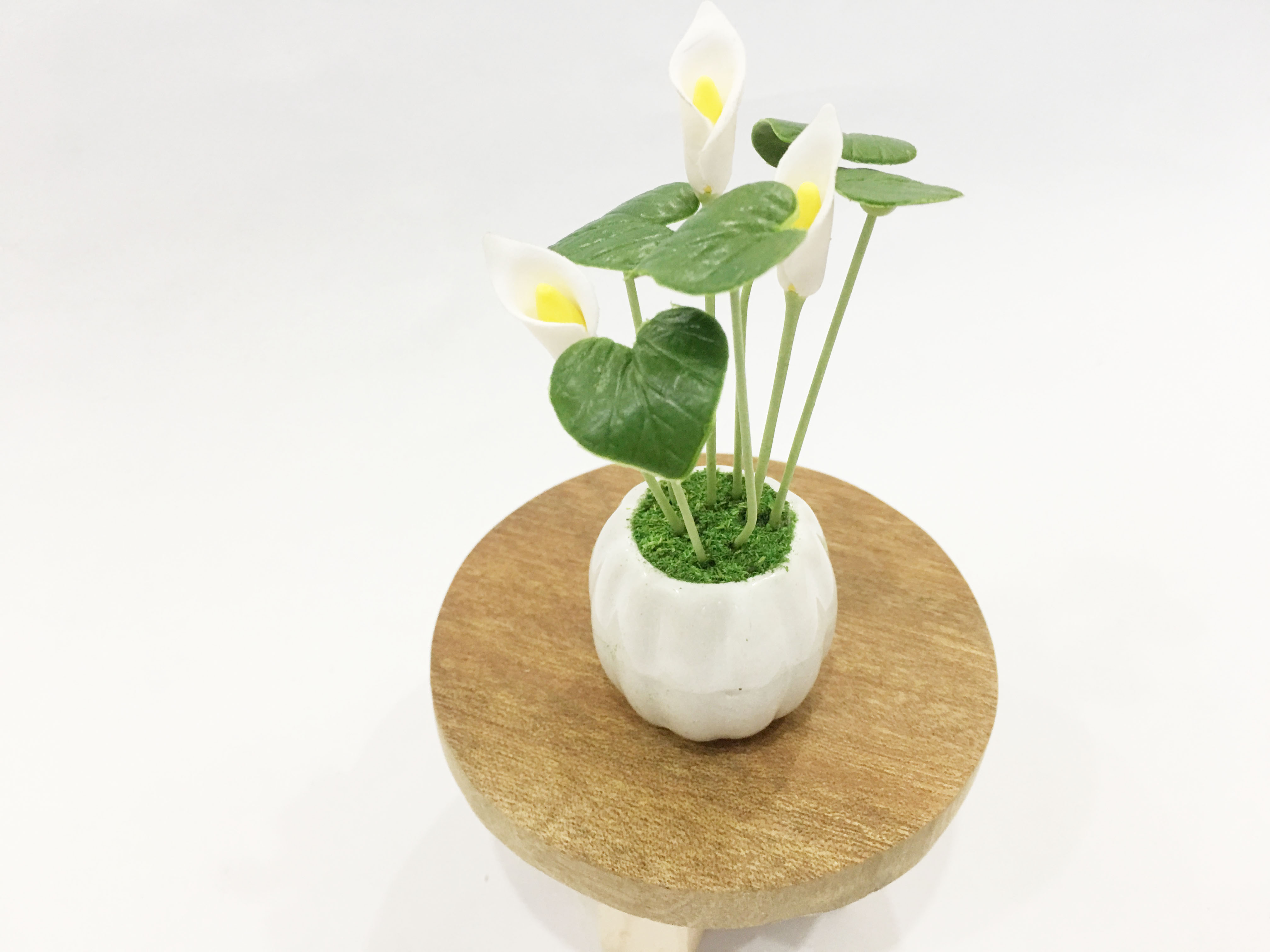 Chậu hoa đất sét mini - Cây hoa rum / hoa thủy vu / loa kèn Arum  - Quà tặng trang trí handmade
