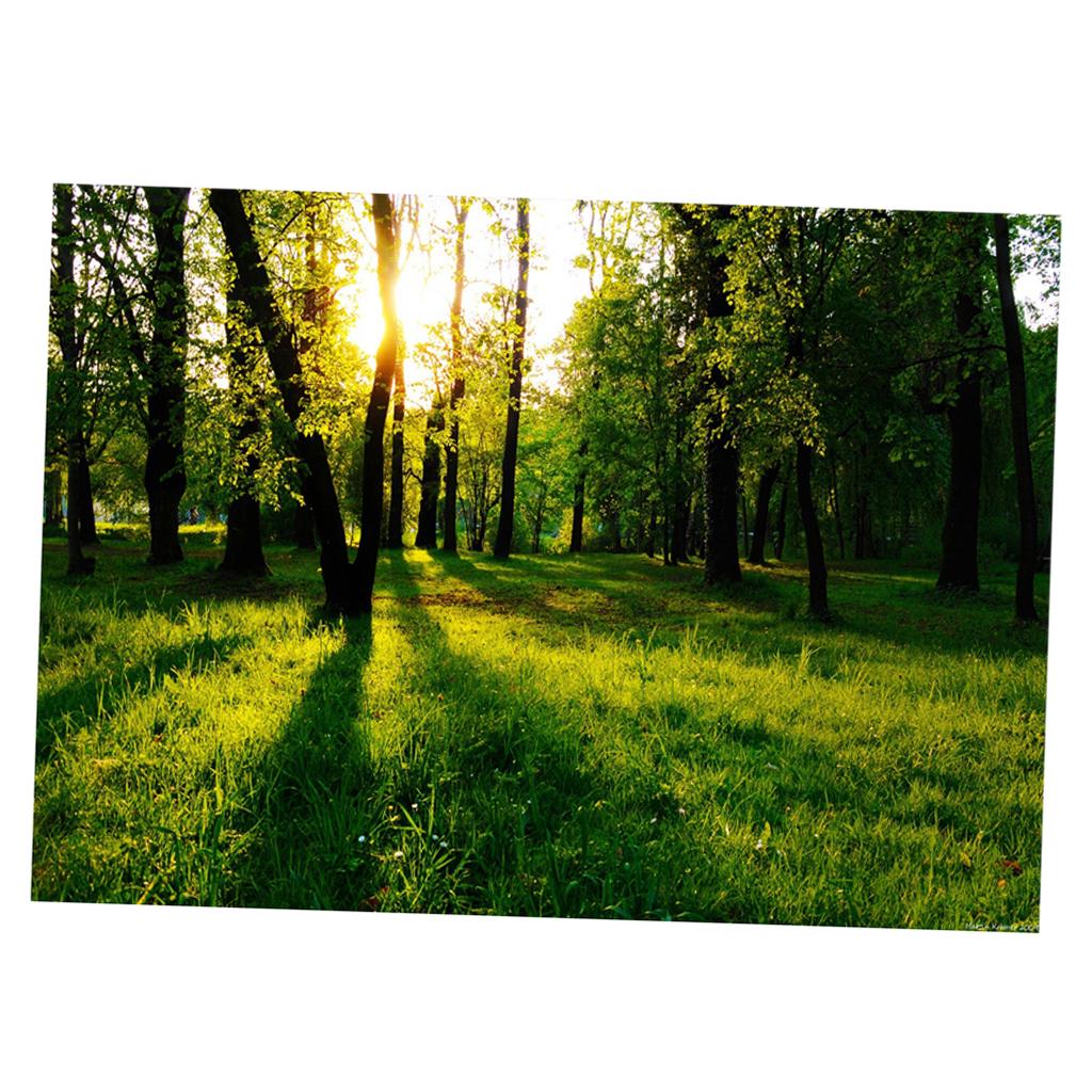 Aquarium Background Adhesive Poster Fish Tank Wall Decorations Sticker