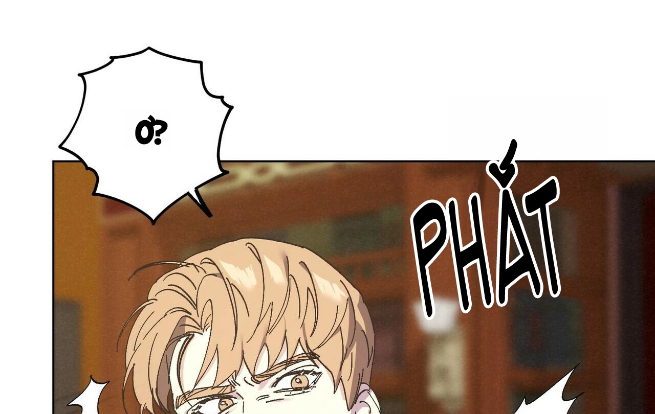 chàng dâu nhà họ kang chapter 28 49