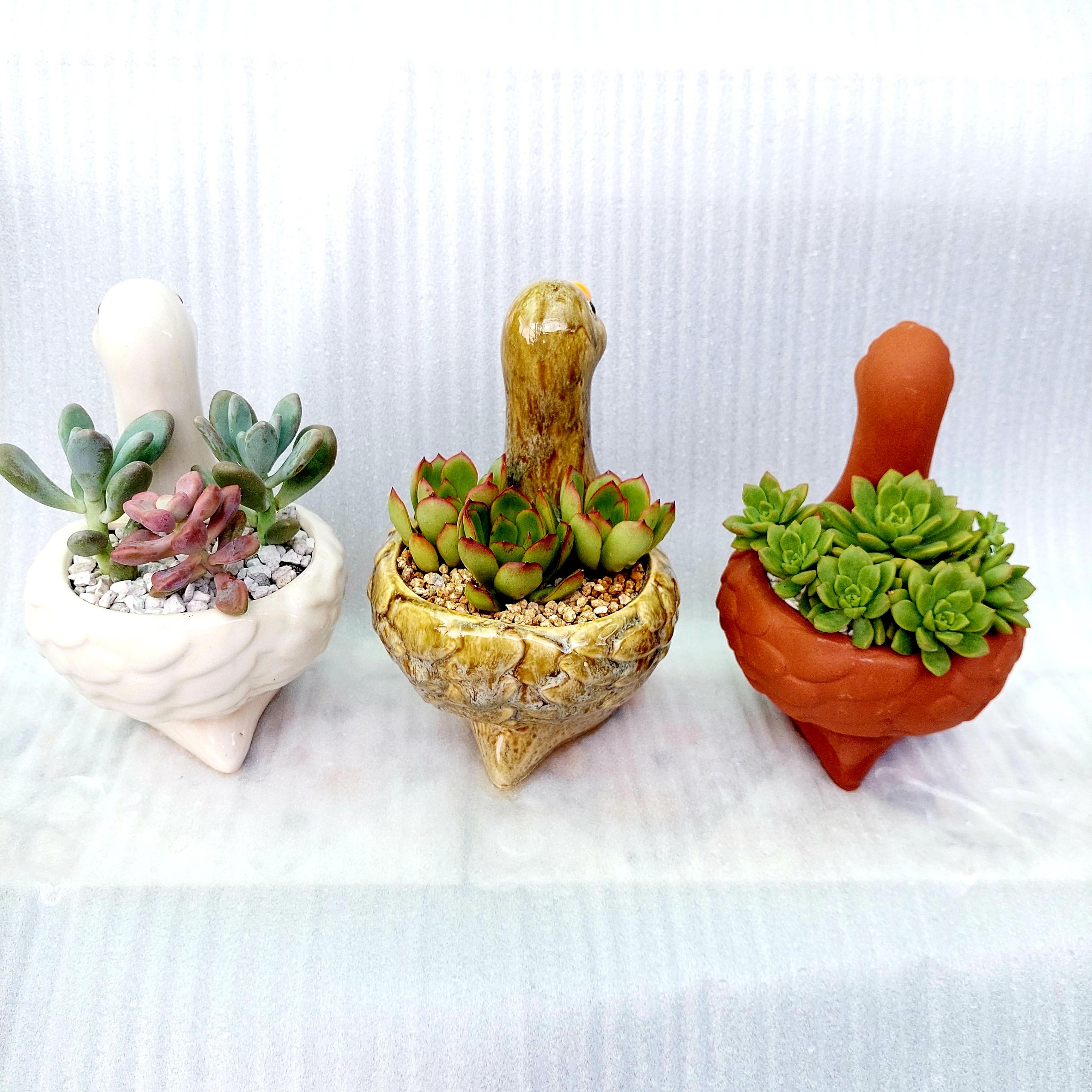 Chậu đất nung Bình Dương - Vịt thiếu nhi, miệng chậu 8cm, chiều cao 9cm tới lưng, 20cm tới đầu
