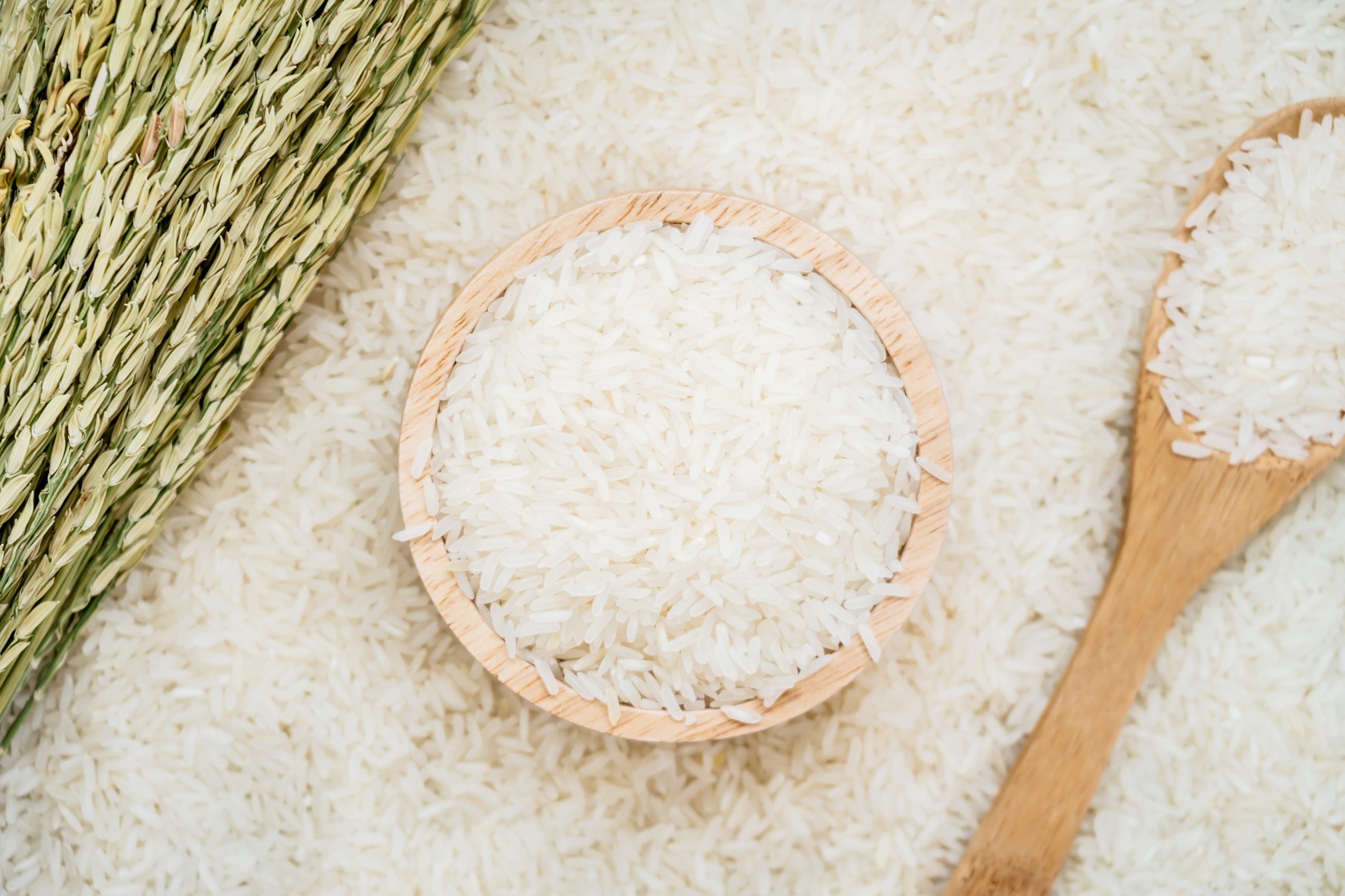 Gạo ST25 - Túi 5 kg - Dẻo, thơm, mềm cơm