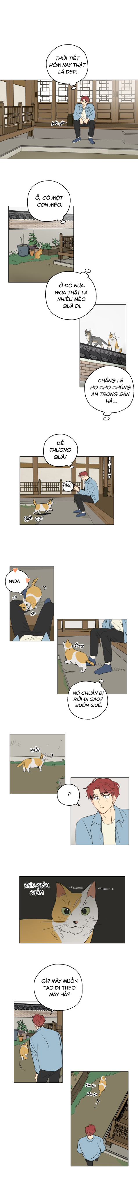 giấc mơ kì lạ chapter 1 6